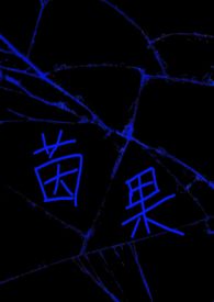 茵果（np）茵果（np）