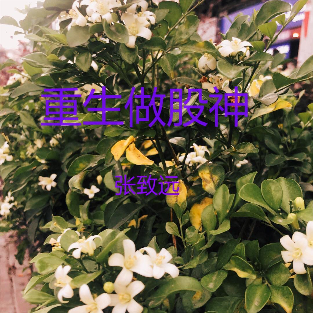 重生做女王